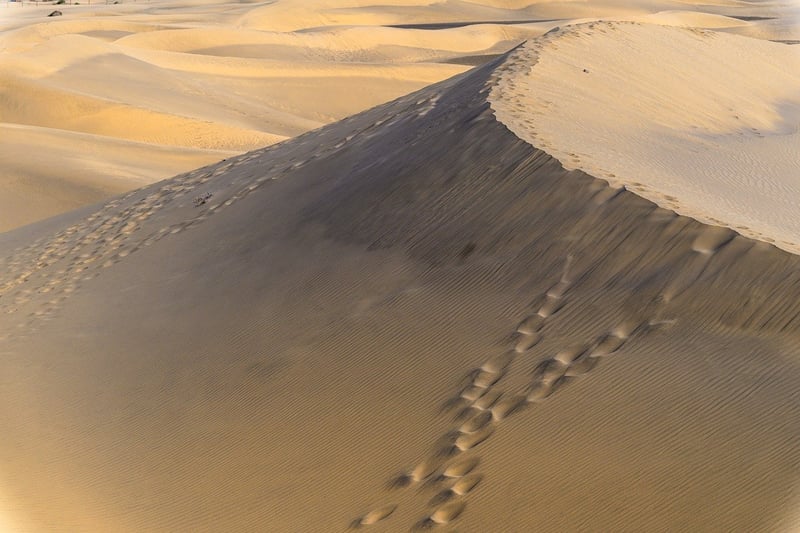 Arid Desert Landscape